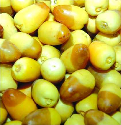 WBahrain with fresh vegetables
